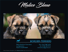 Tablet Screenshot of border-terrier-club.com